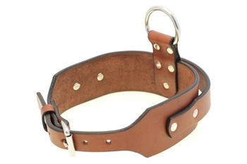 Orion Leather 2 1/4" Tapered Agitation Training Dog Collar With Handle And D Ring Medium Brown English Bridle Leather Water Resistant Made In USA